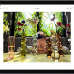 Photo Editing Apps